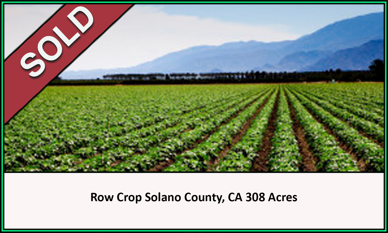 Row Crop Solano County Sold