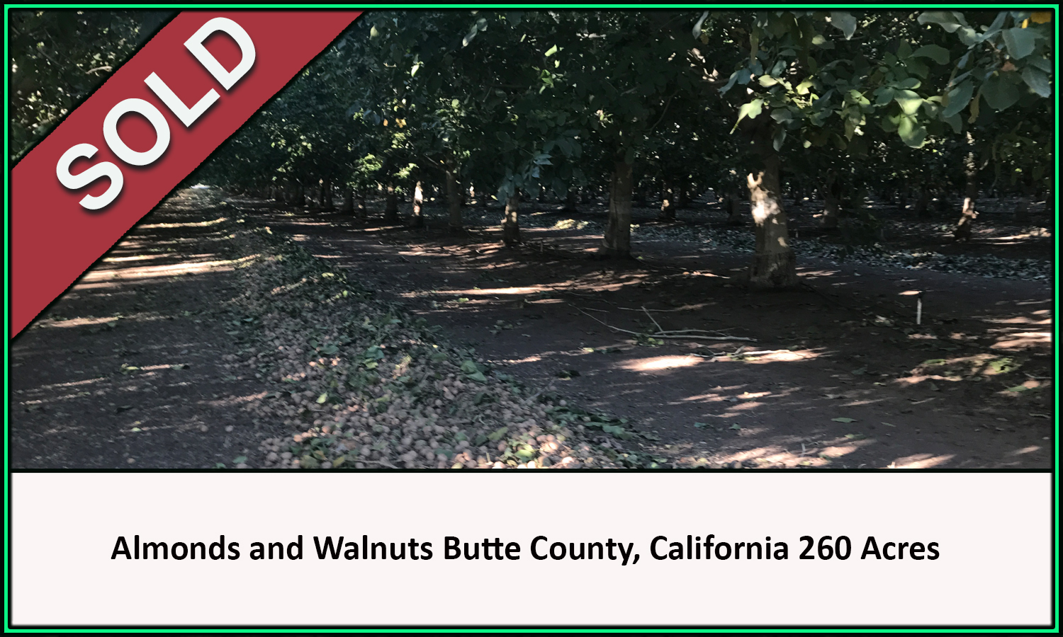 Sold Almond and Walnut Orchard 260 Acres Butte County California