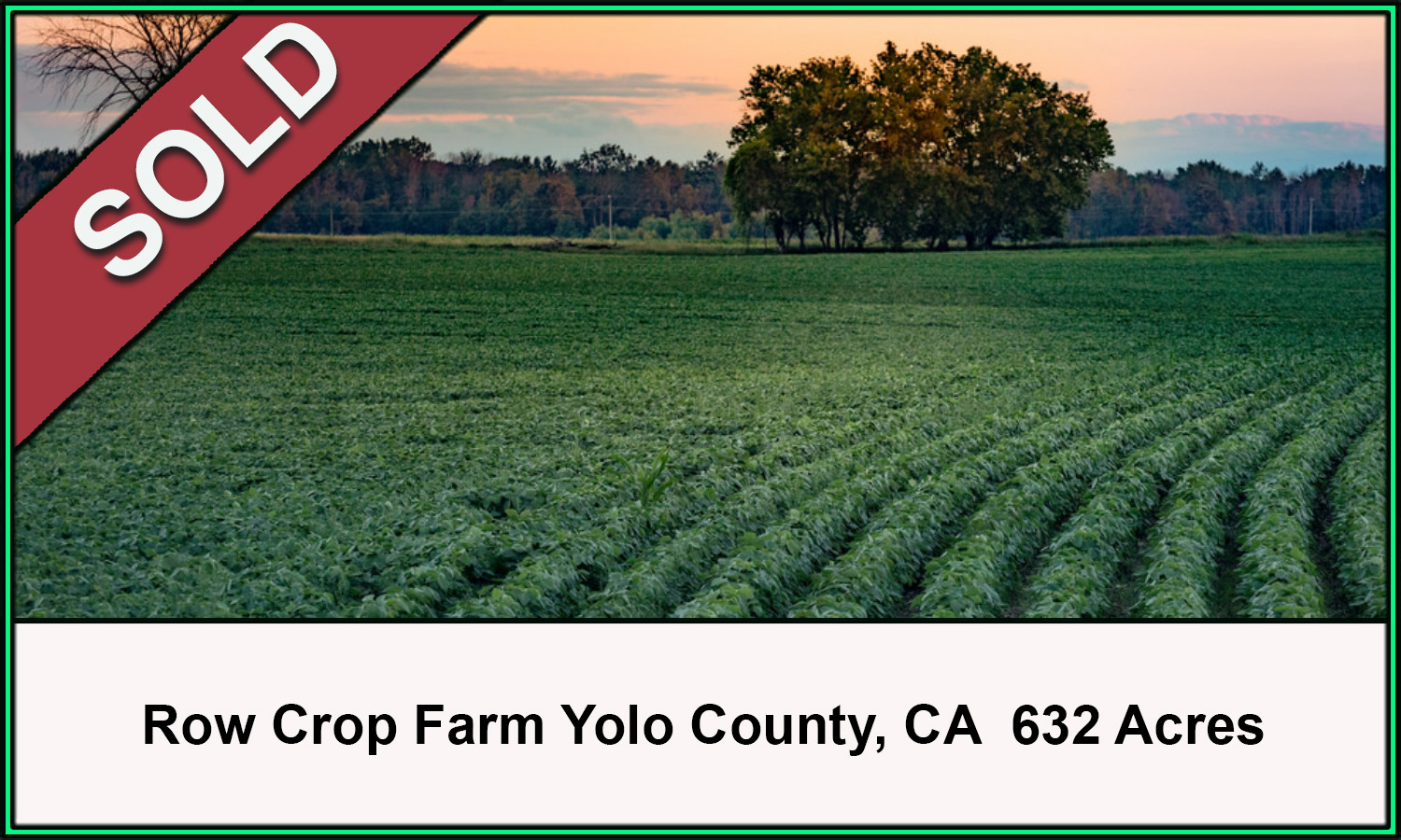 Sold632YoloRowCrop.jpg