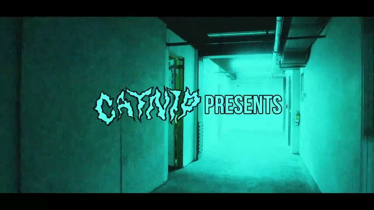 catnip - princess diaries (music video)