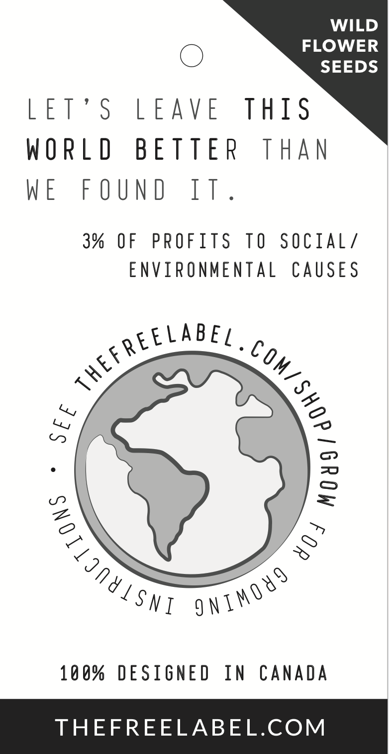 Screen Shot 2019-03-27 at 7.34.22 PM.png