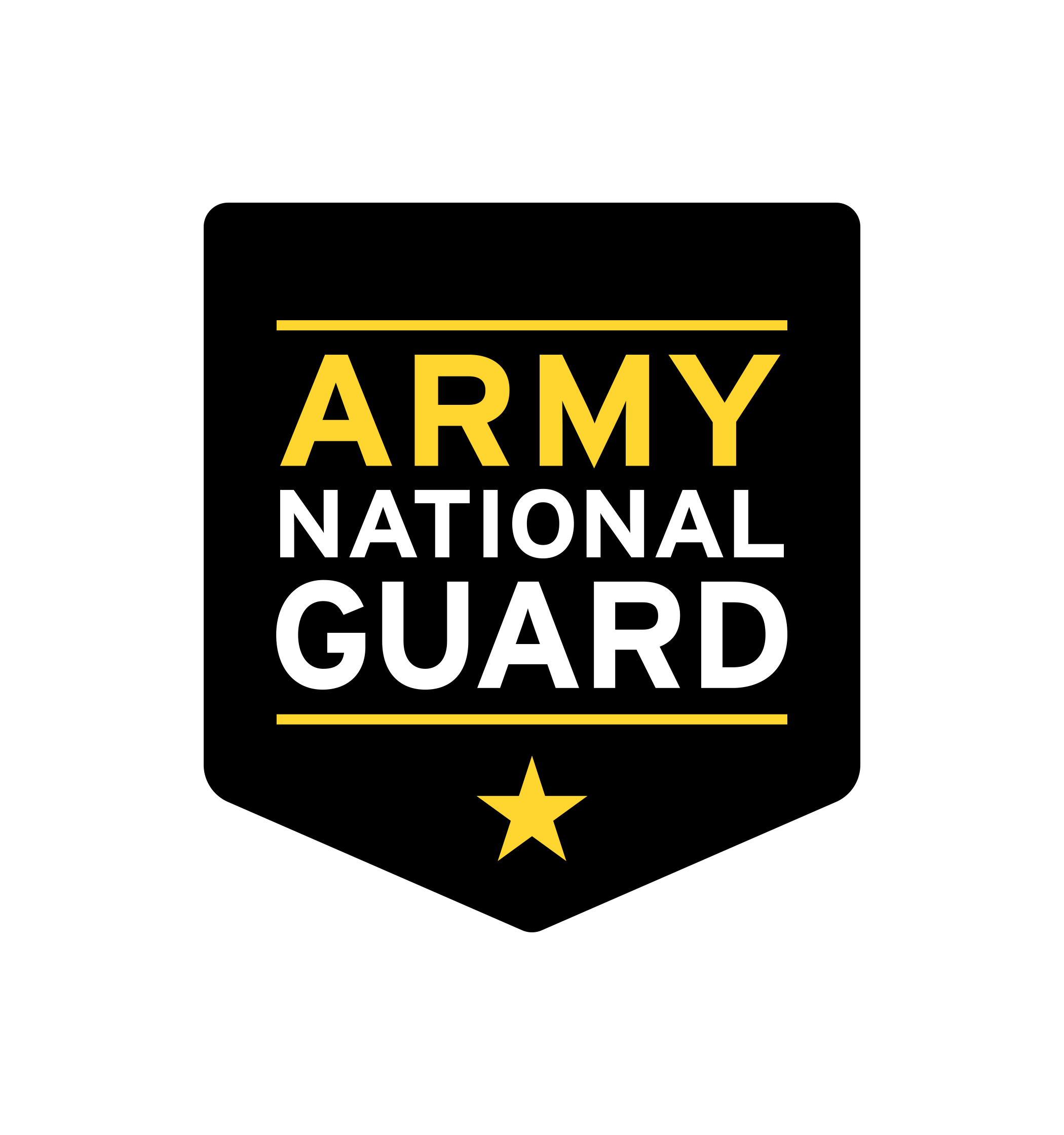 Vietnam War era soldier badge with a gold star, black background, and text 'ARMY NATIONAL GUARD' in yellow and white.