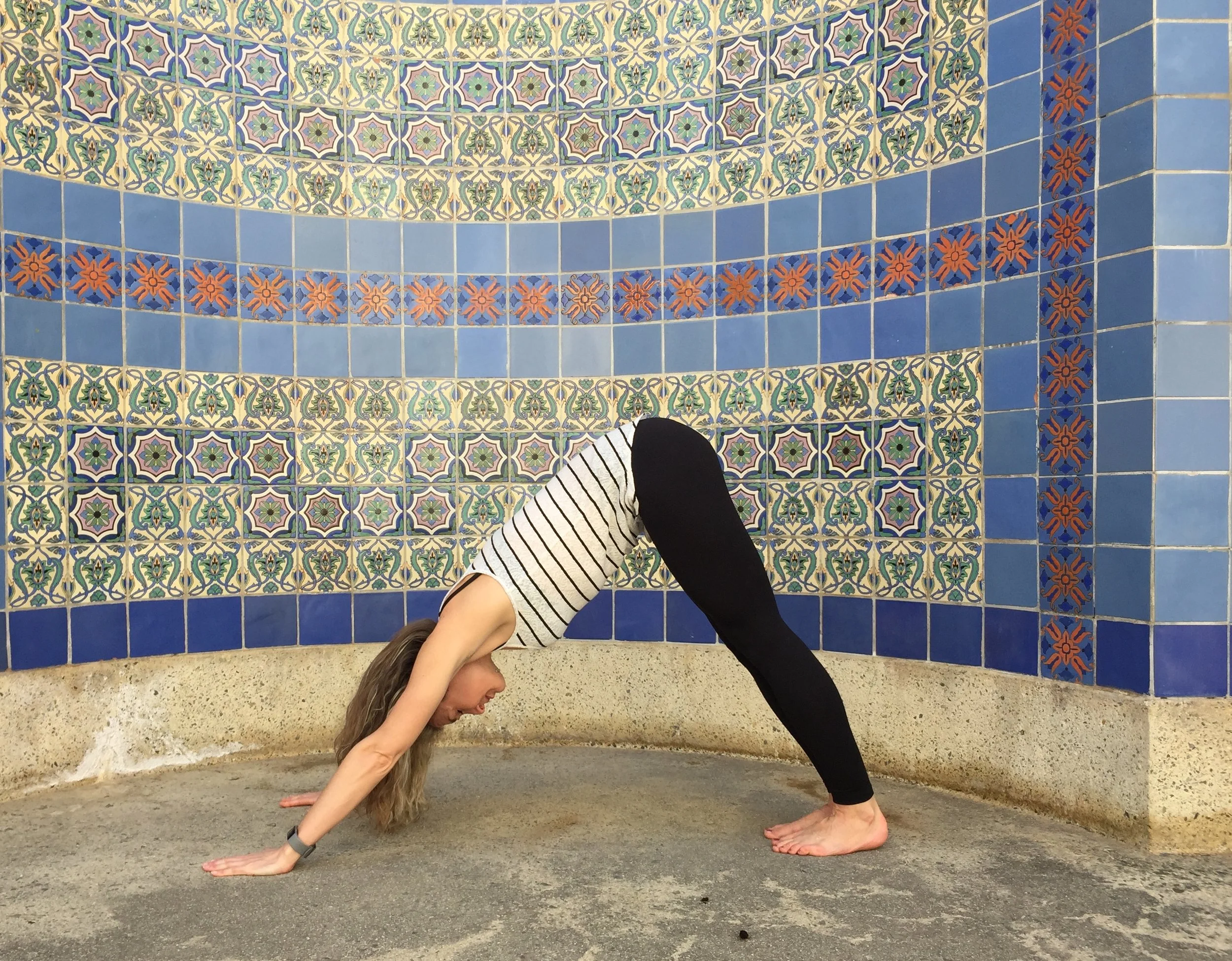 Downward Facing Dog (Adho Mukha Svanasana)