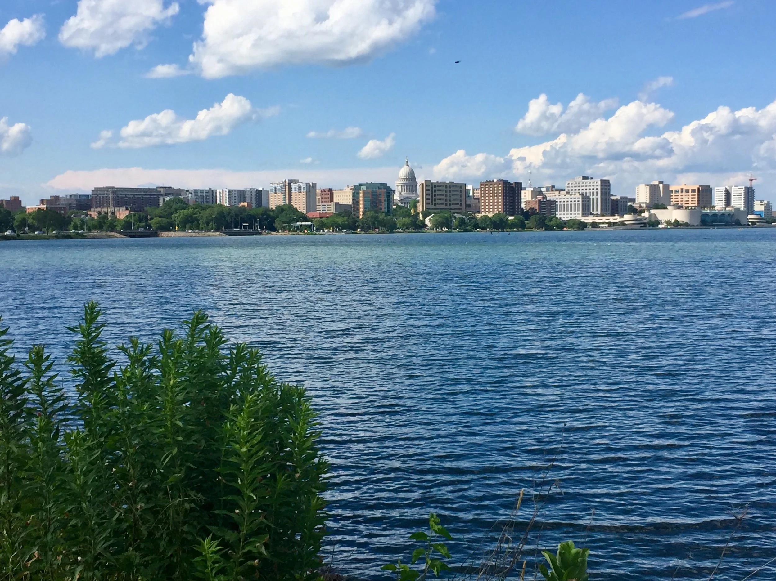 View of downtown Madison from the Lake Monona bike trail