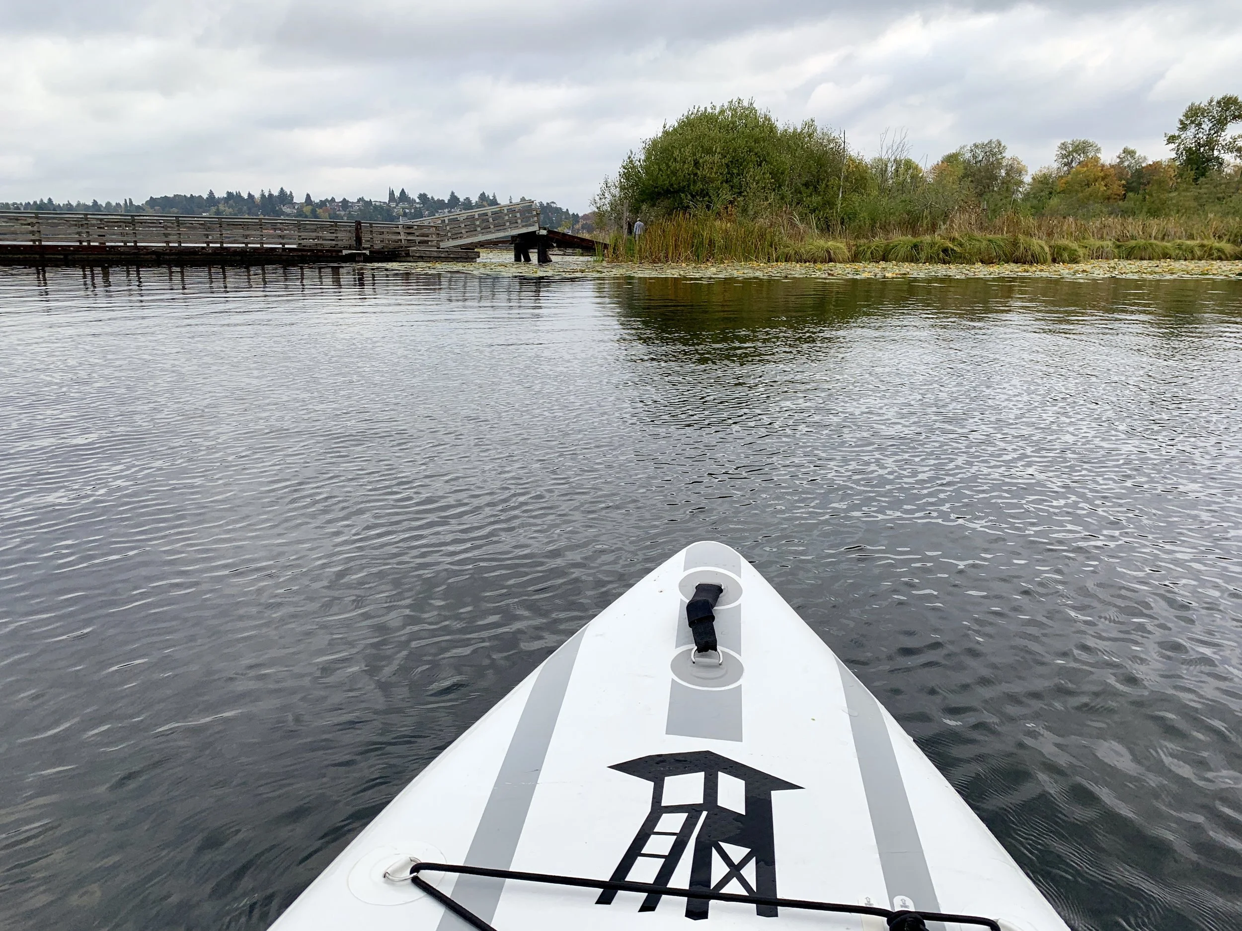 Paddling towards Union Bay