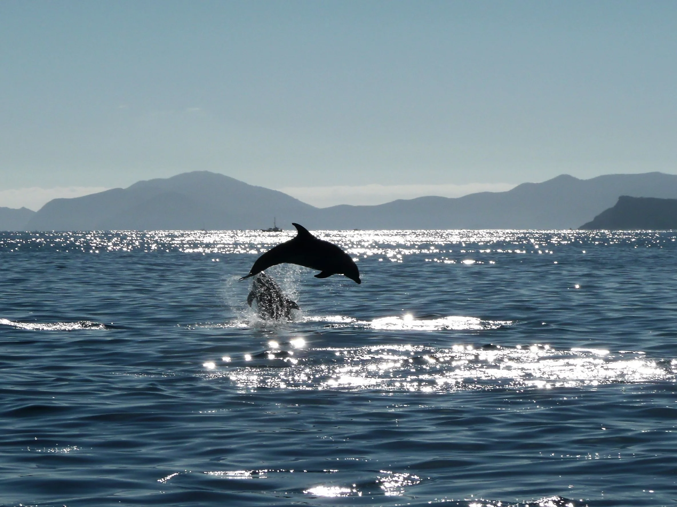 Bay Of Islands Activities (And Other Places In Northland)