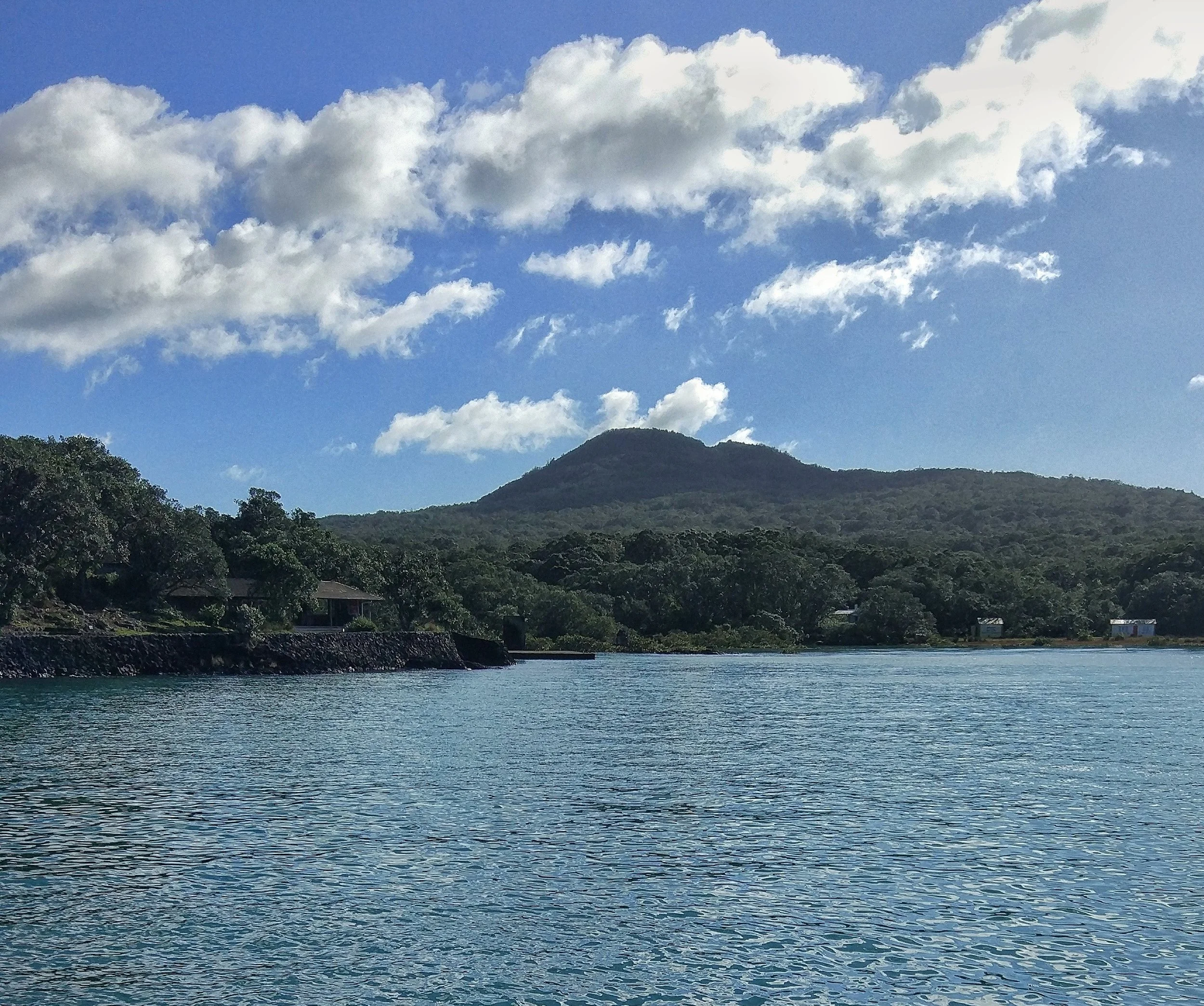 Rangitoto Island - Walk On Auckland’s Youngest Volcano