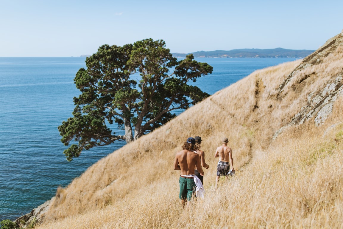 Jackson Bright Coastal Walkway 2 (Medium).jpg