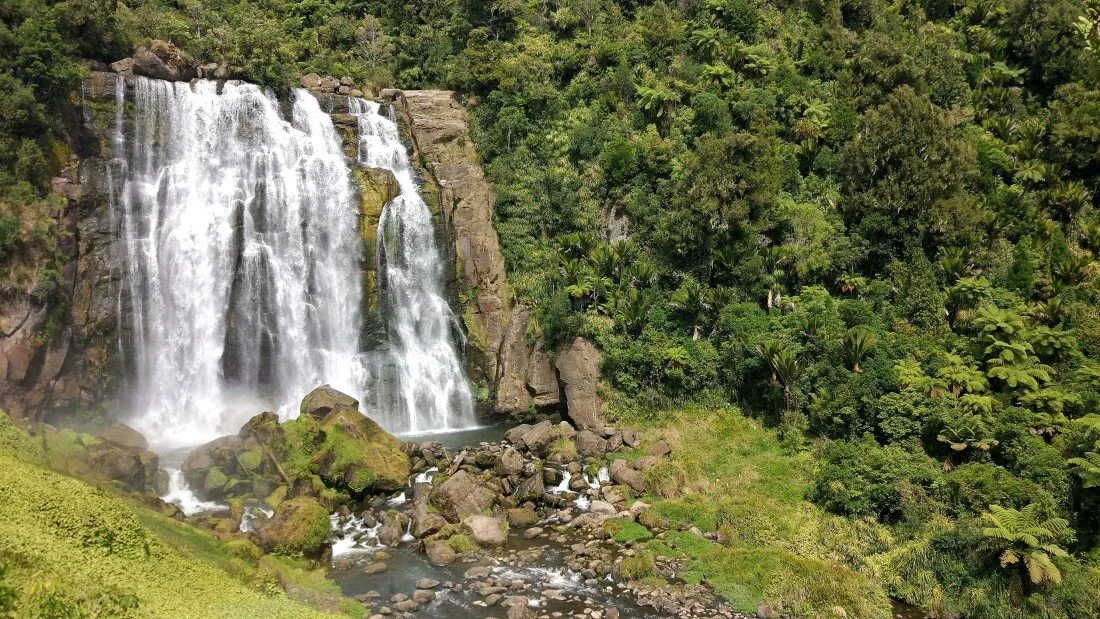 IMG_20190126_153032-01 (Custom).jpeg