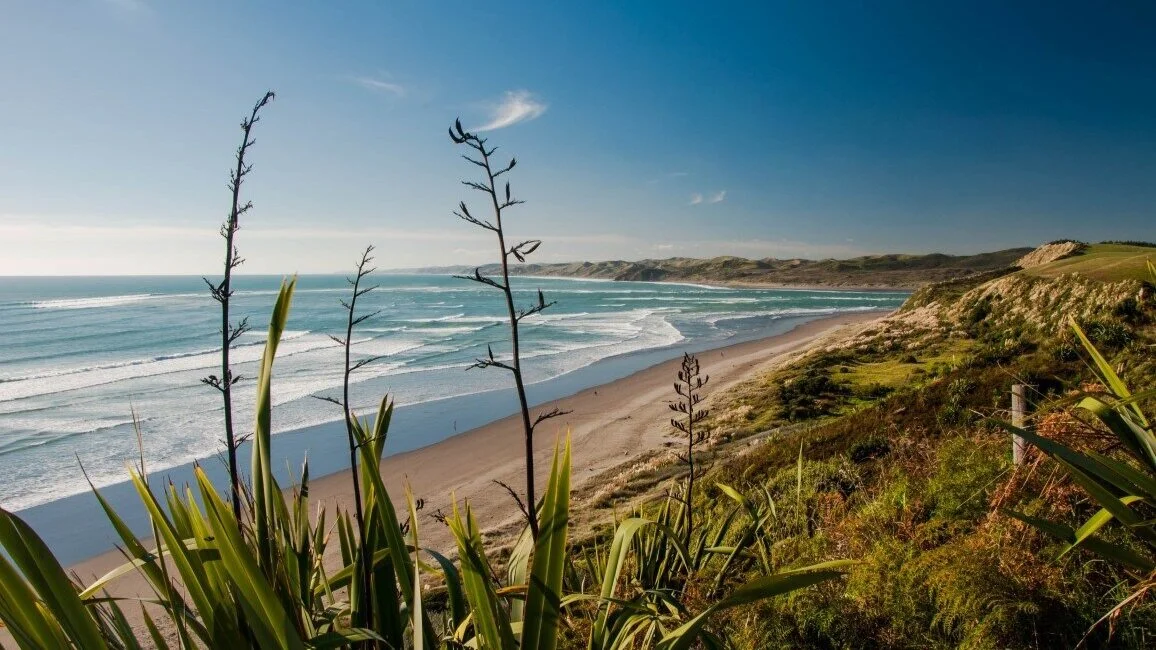 The 11 Very Best Things To Do In Waikato