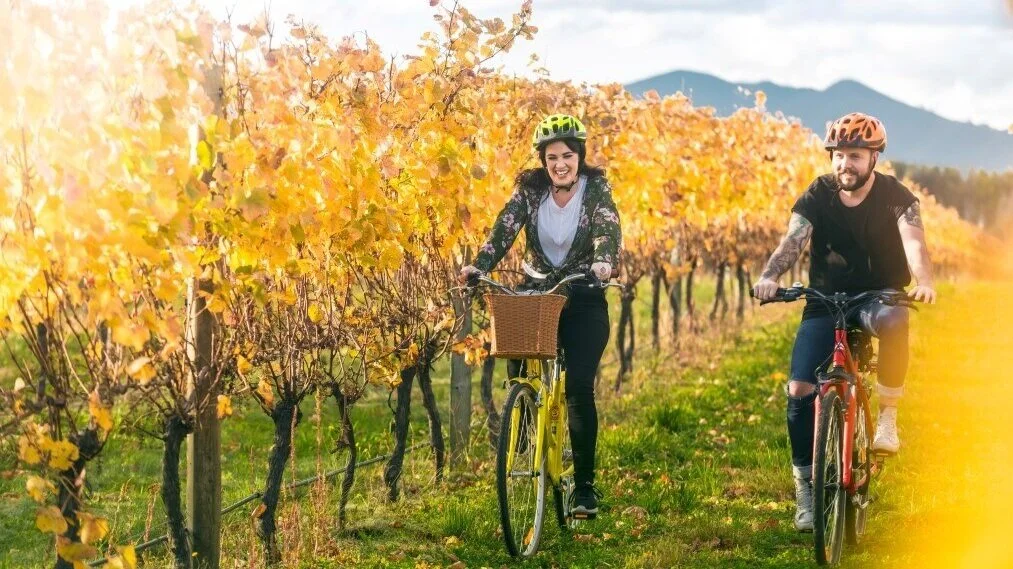 Stunning NZ Cycle Trails For Riders Of Any Fitness Level