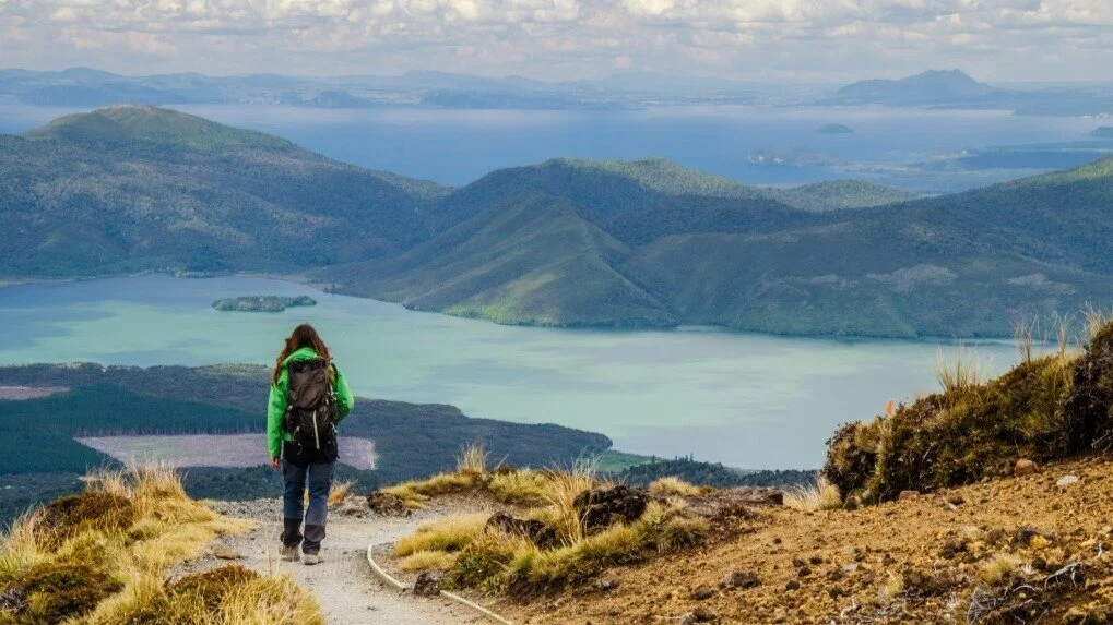New Zealand Walks And Hikes You Will Love