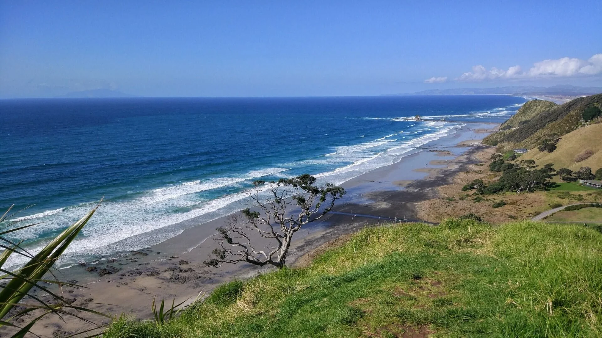 Magical Mangawhai Cliff Walk And Many More Things To Do in Mangawhai
