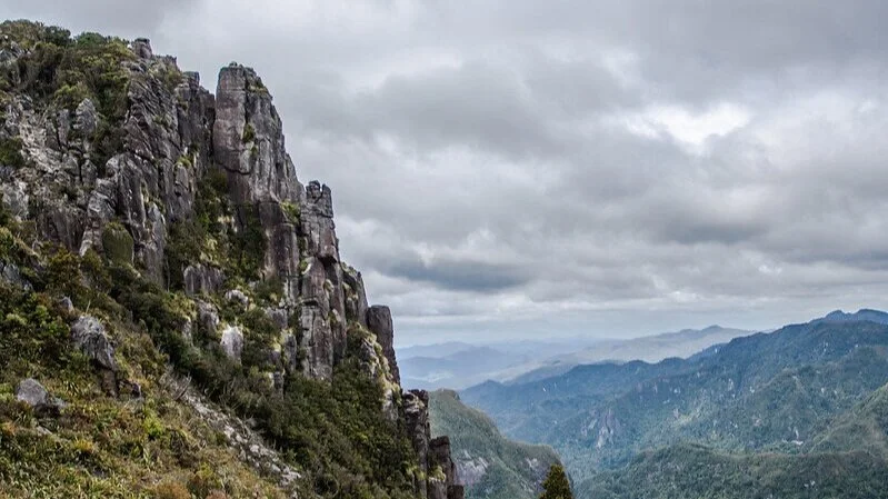 Hiking The Pinnacles Coromandel On New Years Day