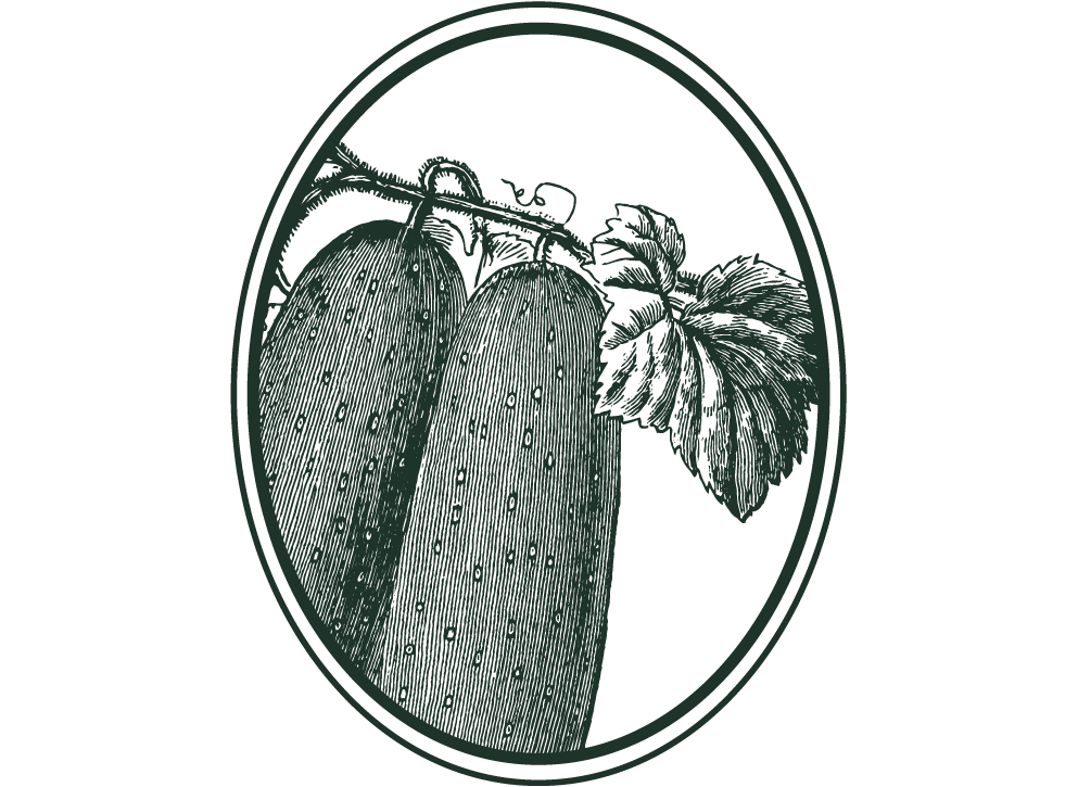 Artboard 4 copy 10-wide.png