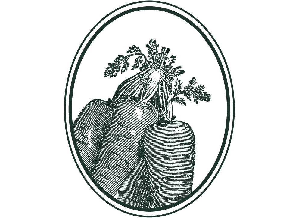 Artboard 4 copy 13-wide.png