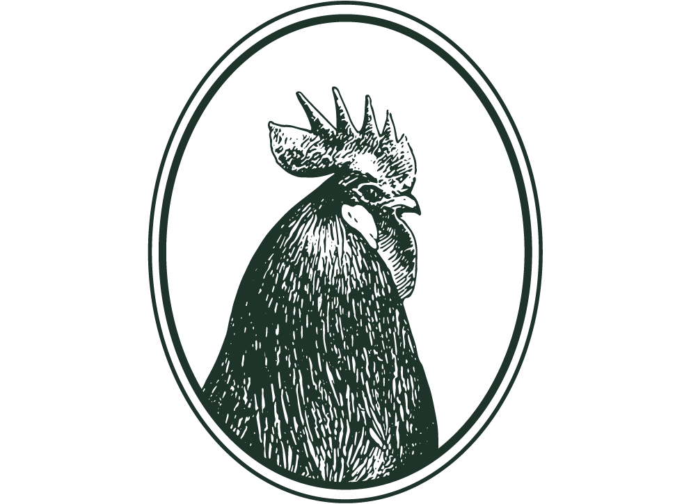 Artboard 4 copy 15-wide.png