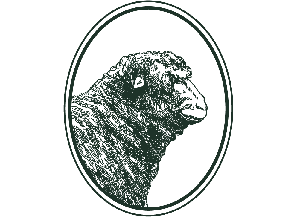 Artboard 4 copy 19-wide.png