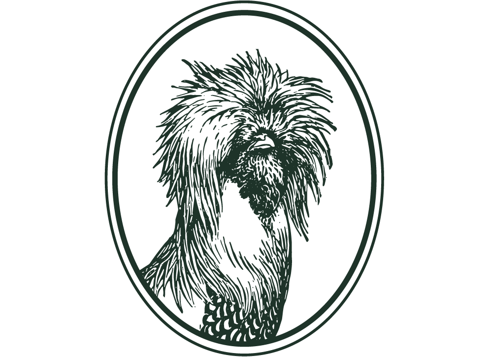 Artboard 4 copy 20-wide.png