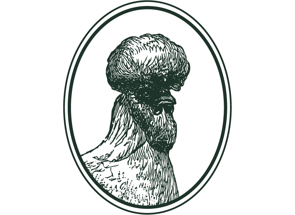 Artboard 4 copy 21-wide.png