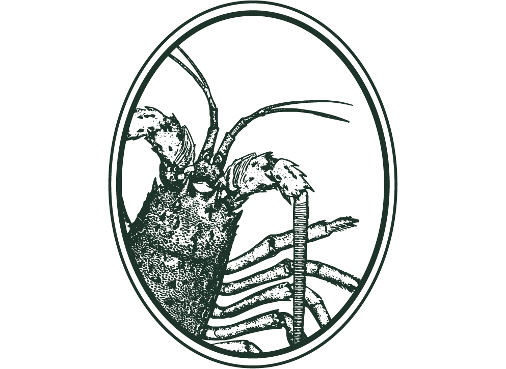 Artboard 4 copy 23-wide.png