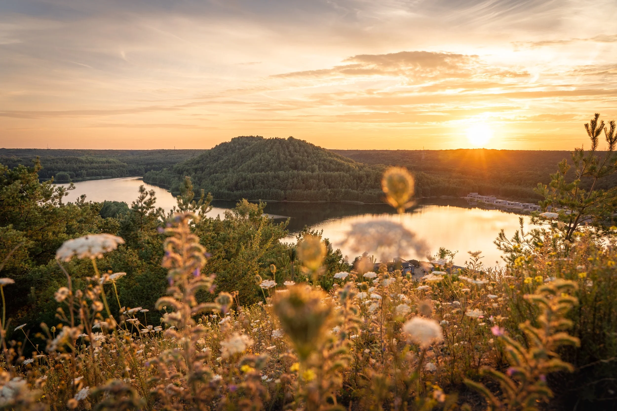 Stories by light_Terhills_300dpi-5375.jpg