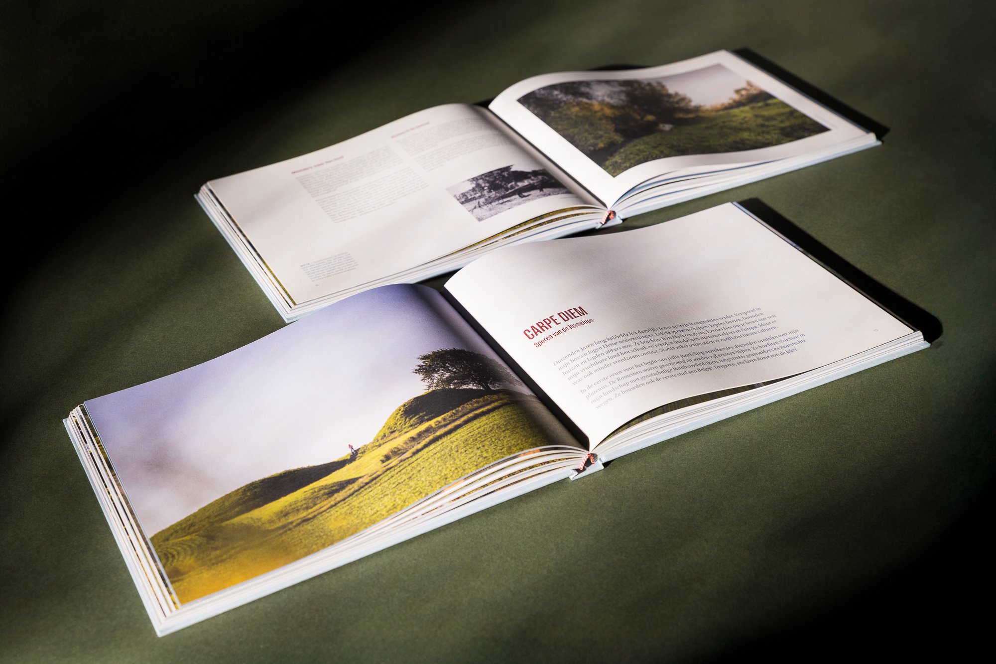 2024-12-02 - Tina De Souter - Haspengouw - Neutral - saturated - web-5.jpg