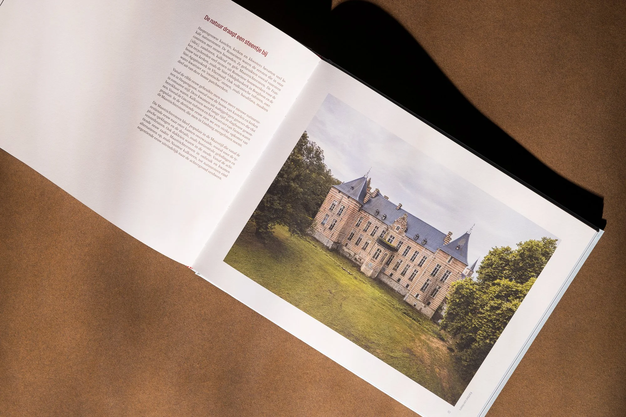 2024-12-02 - Tina De Souter - Haspengouw - Neutral - saturated - web-8.jpg