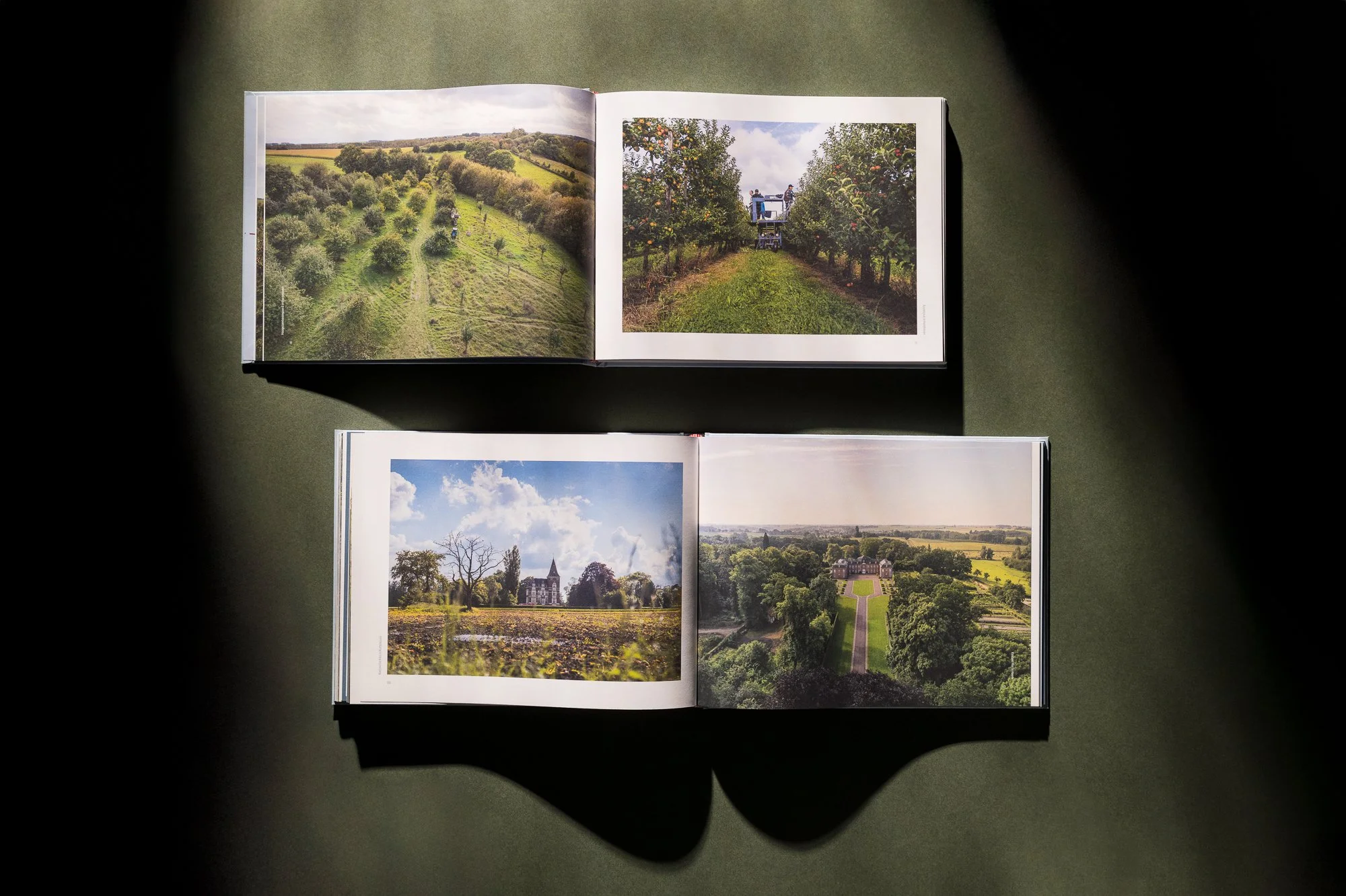 2024-12-02 - Tina De Souter - Haspengouw - Neutral - saturated - web-10.jpg