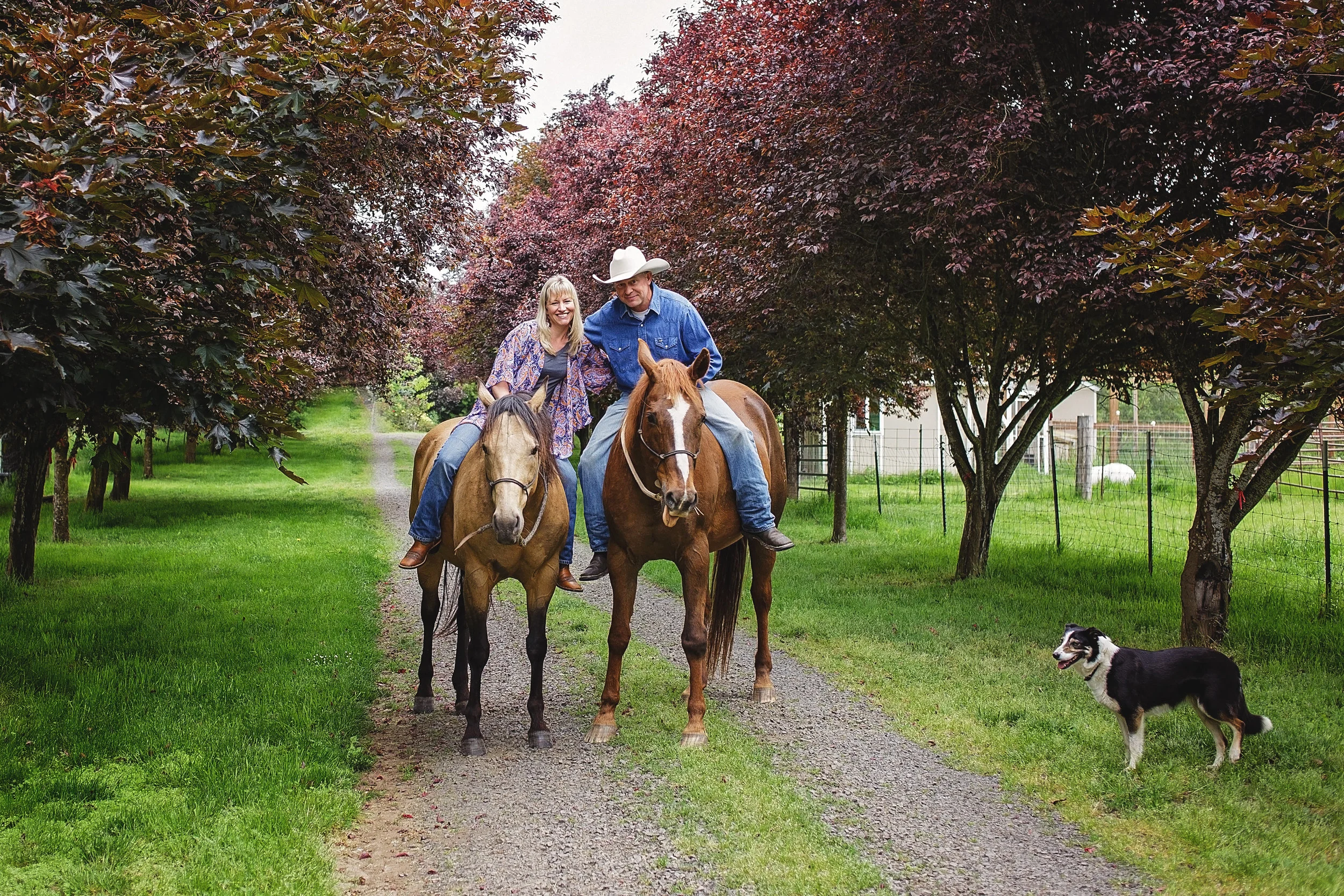 BJ on horses.jpg
