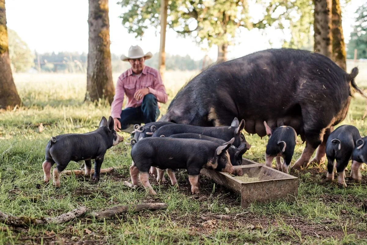 13 Things That Make Our Pork Different