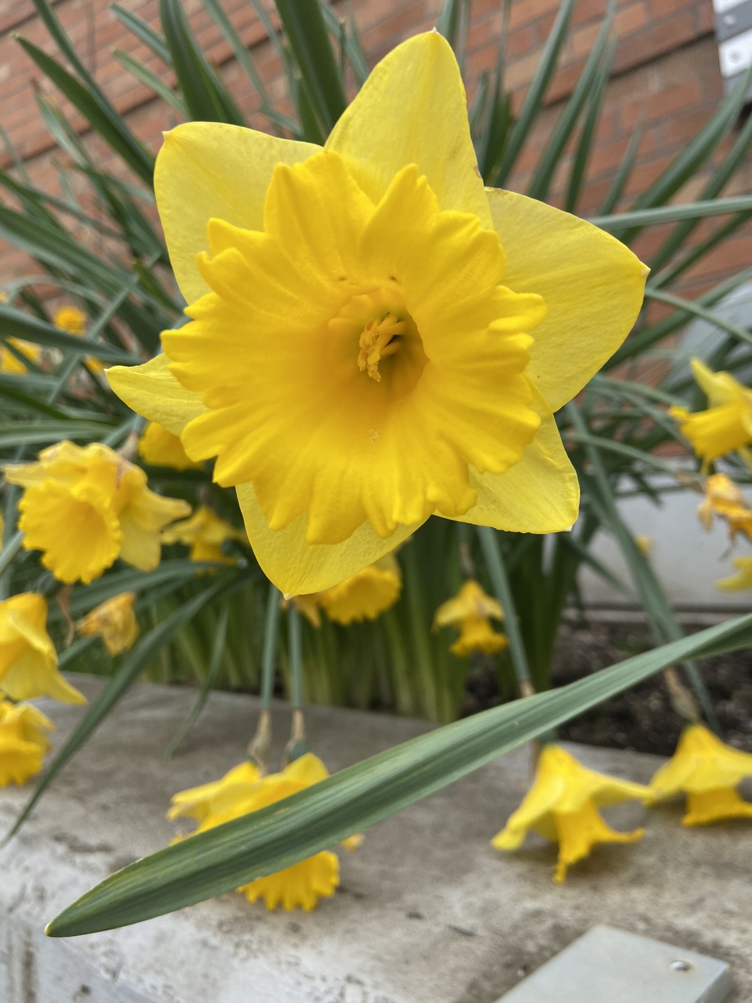 The Farmer's Market Team