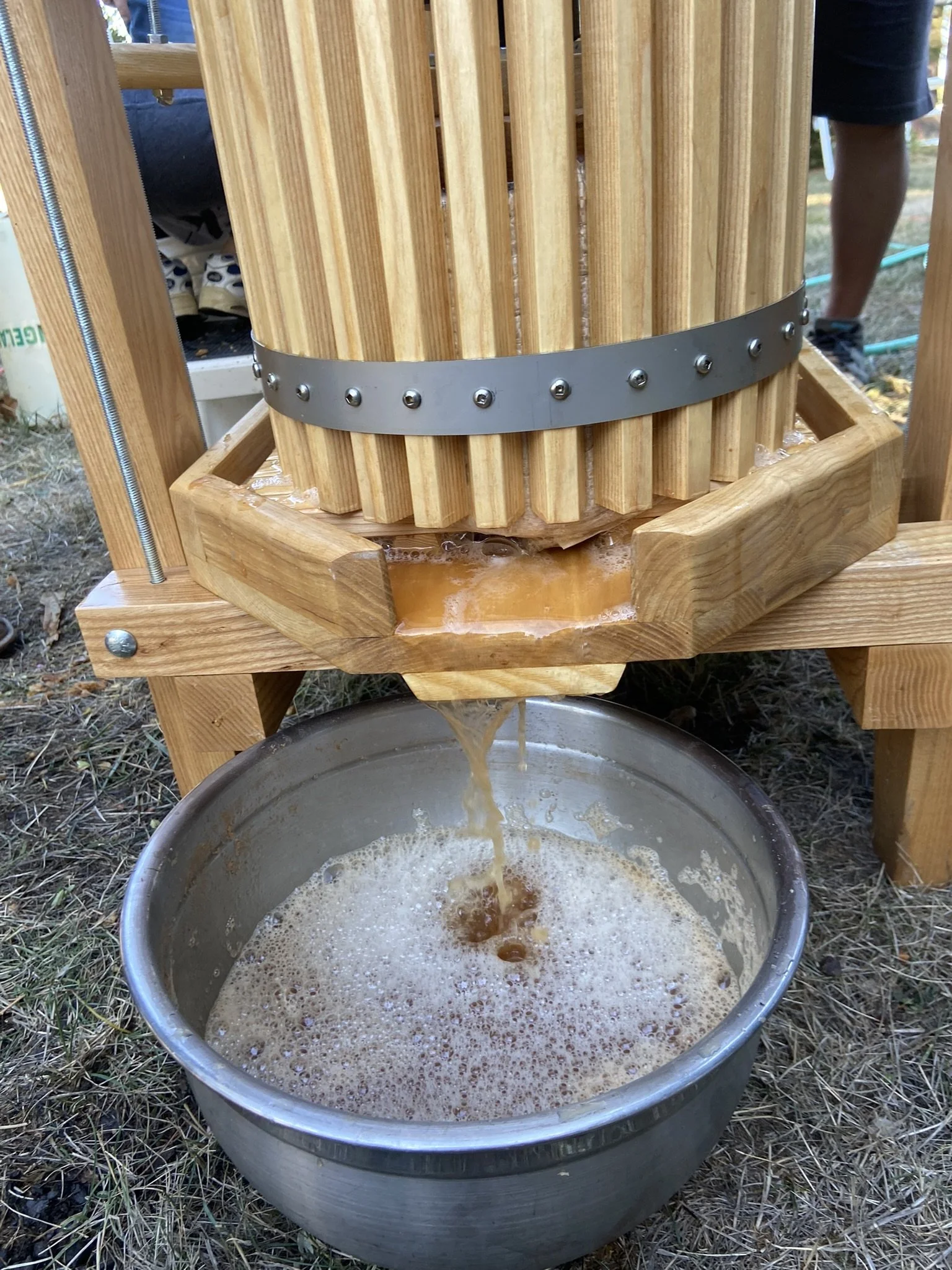 Apple Pressing Party