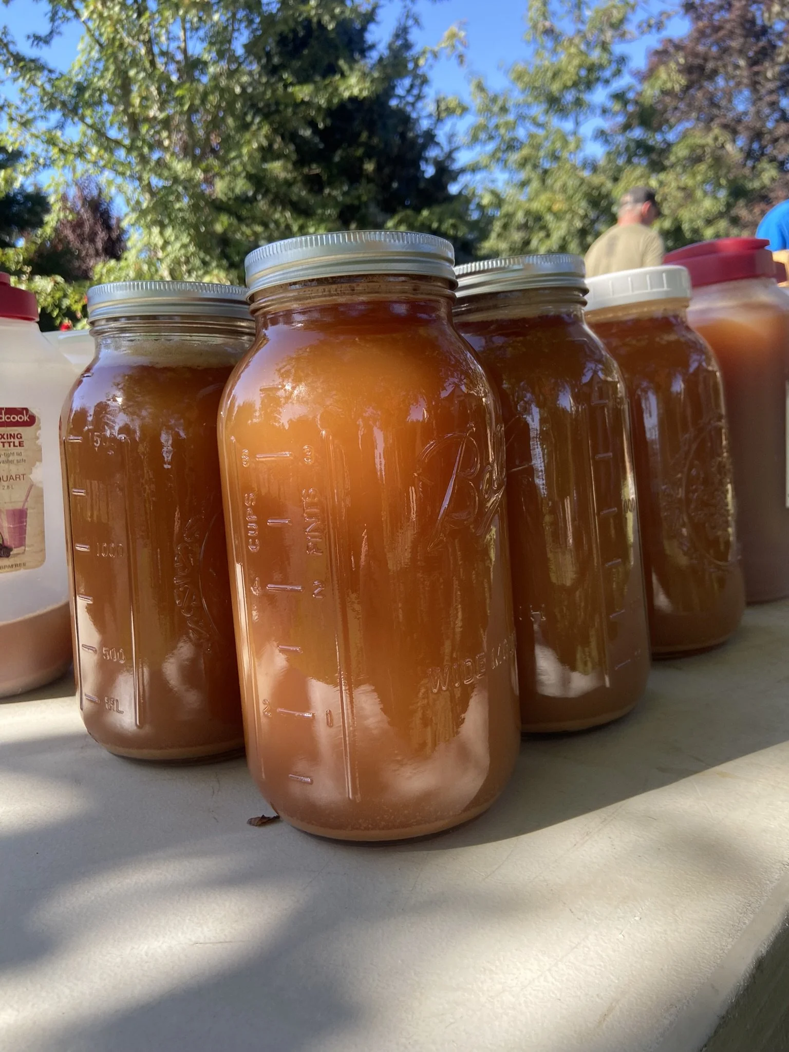 Apple Pressing on the Farm