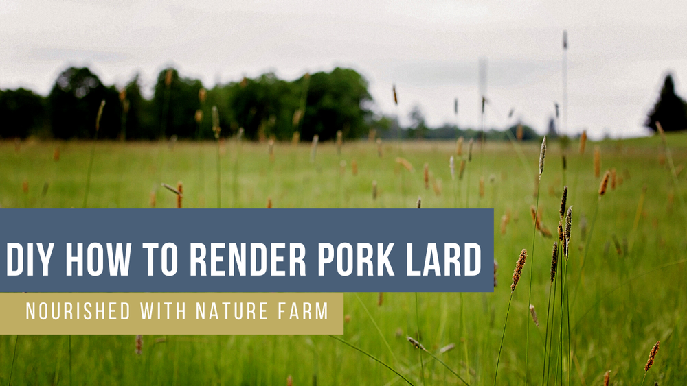 Homemade Render Farm