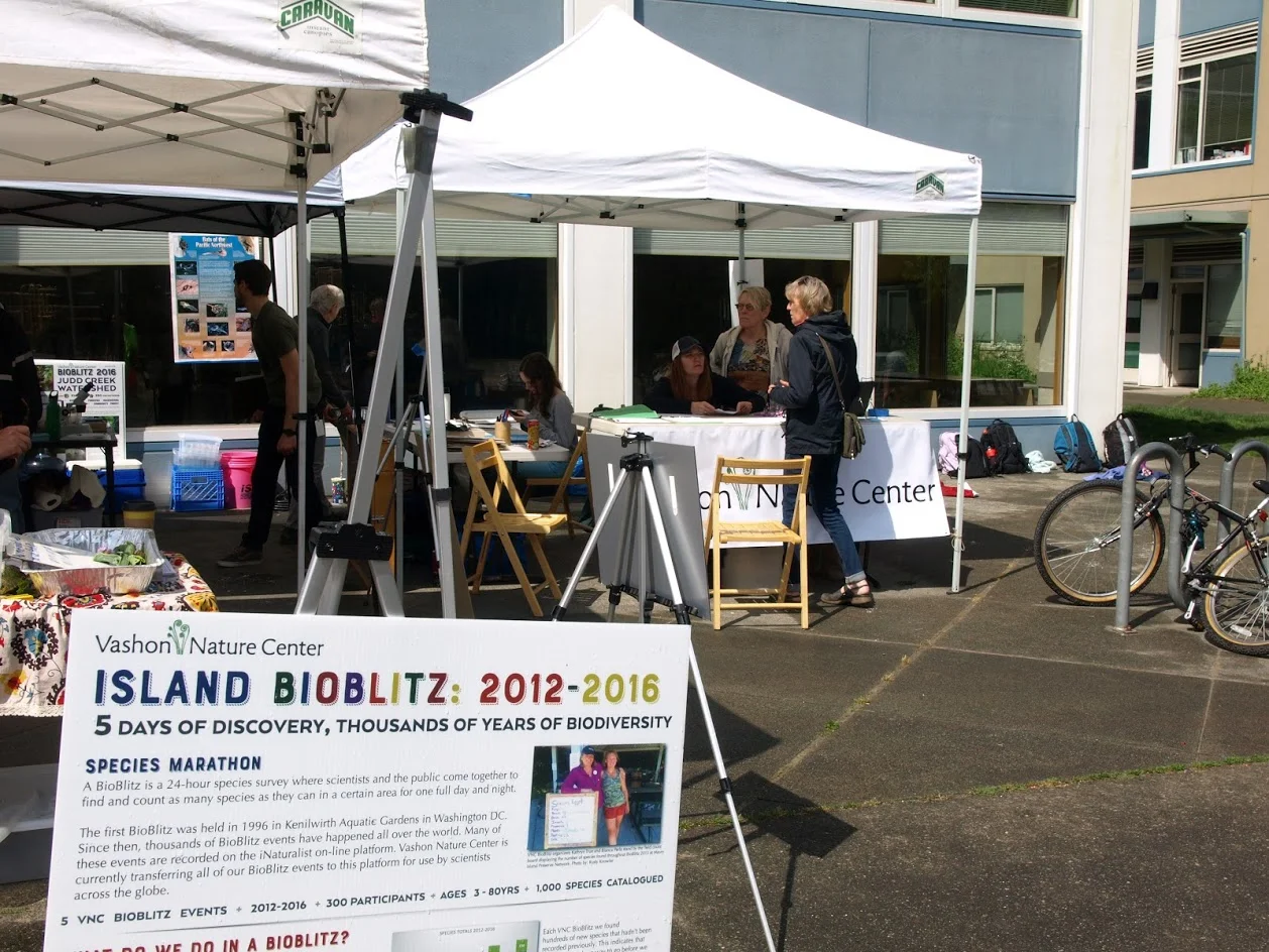 Vashon Island Bioblitz