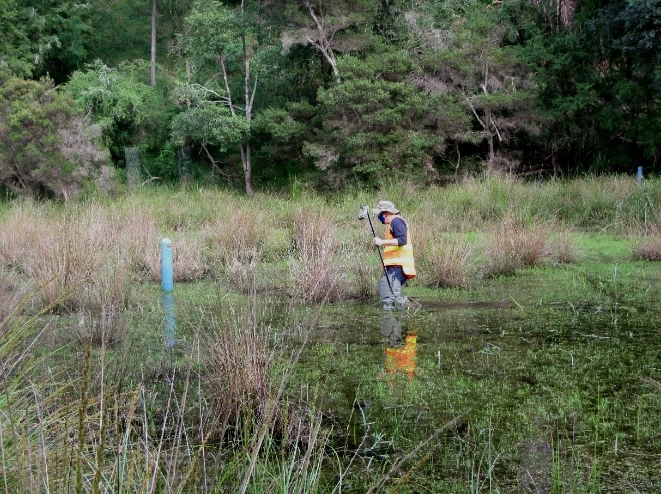 MW Yering Backswamp Bat Activity Survey