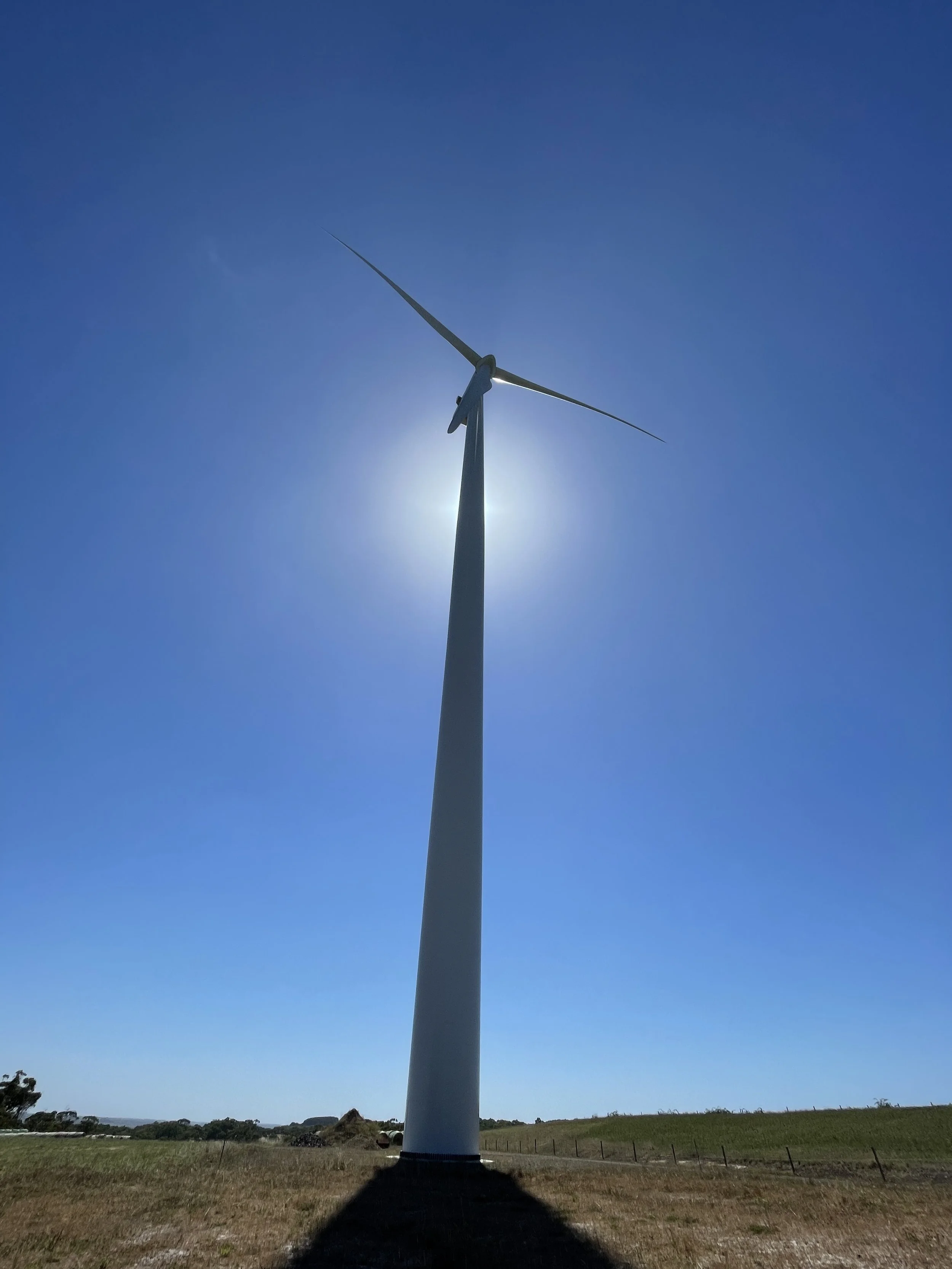 Bat Detector Deployment at Ferguson Wind Farm