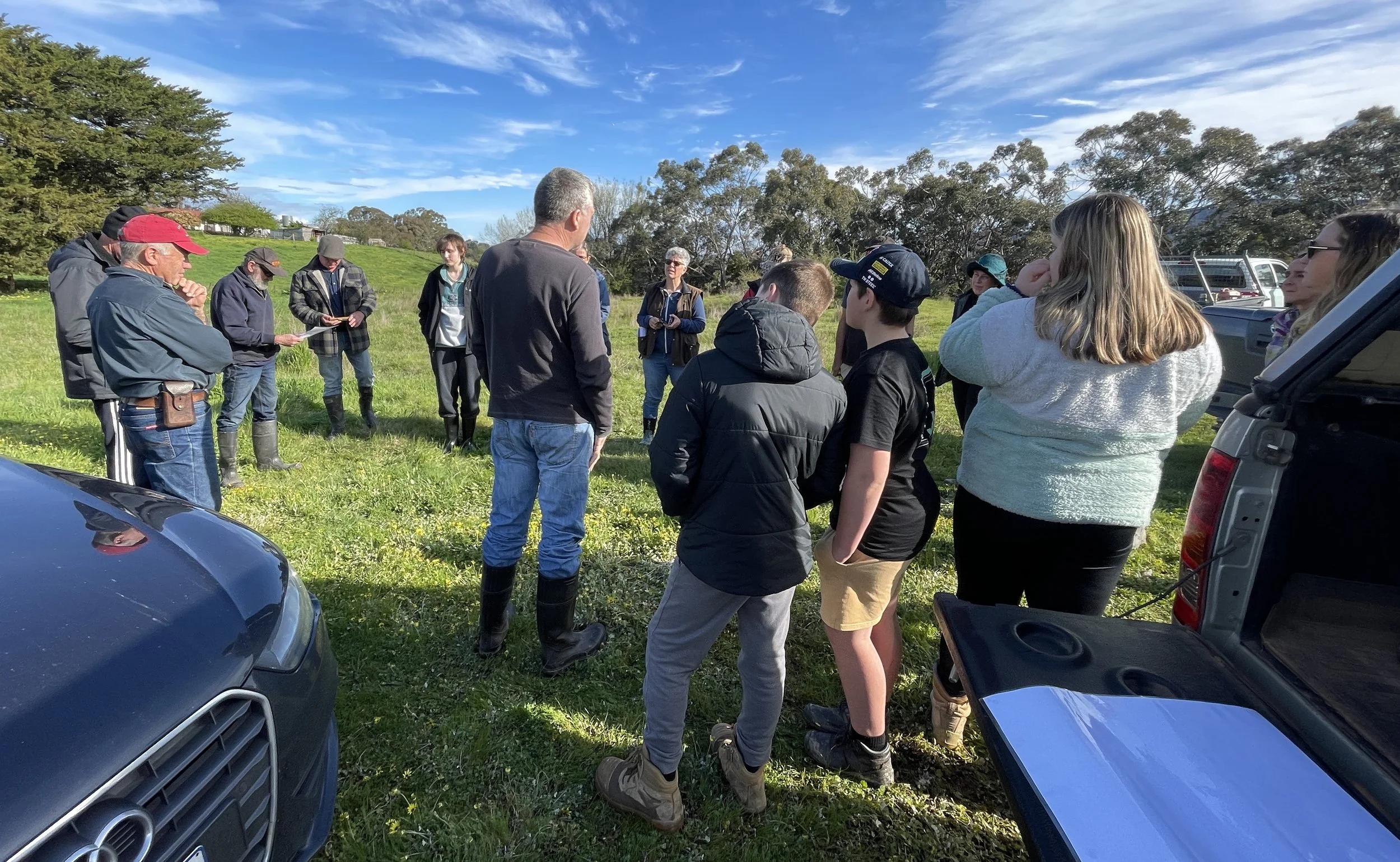 Bats of the Gobur Goldfields