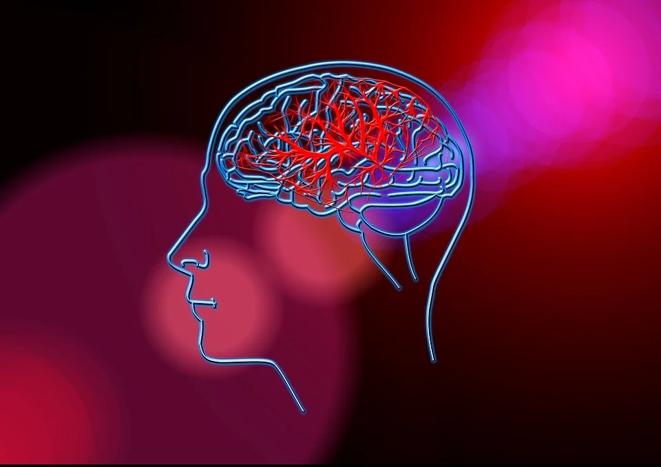 stroke-3233778_960_720.jpg