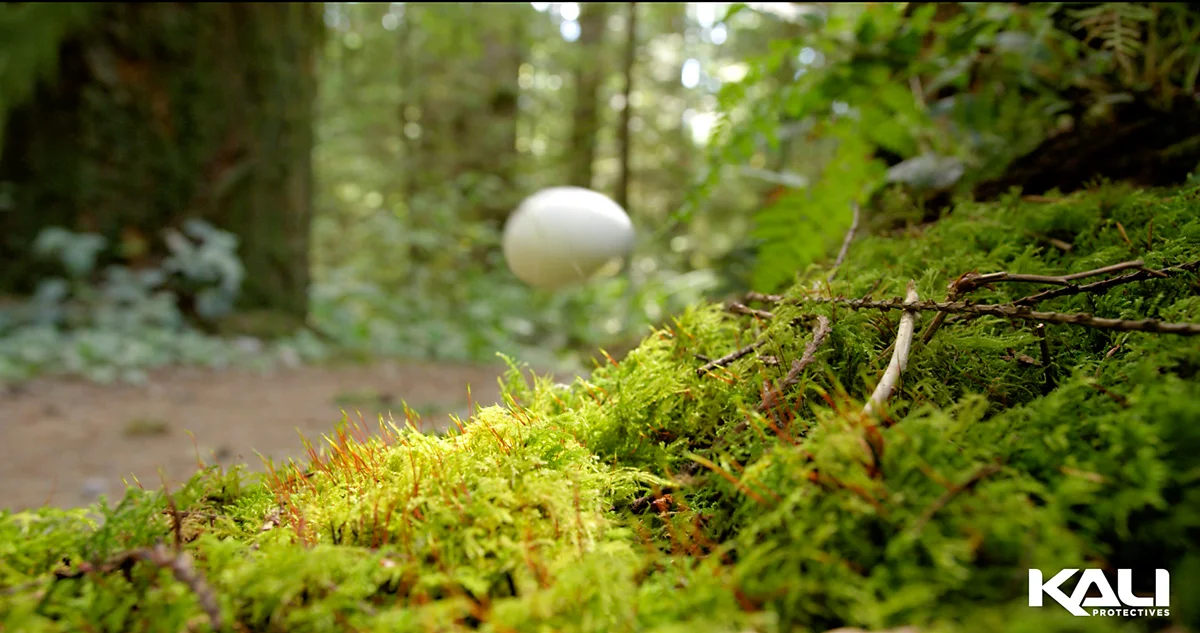 moss.jpg