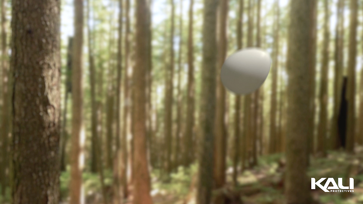 woods.jpg
