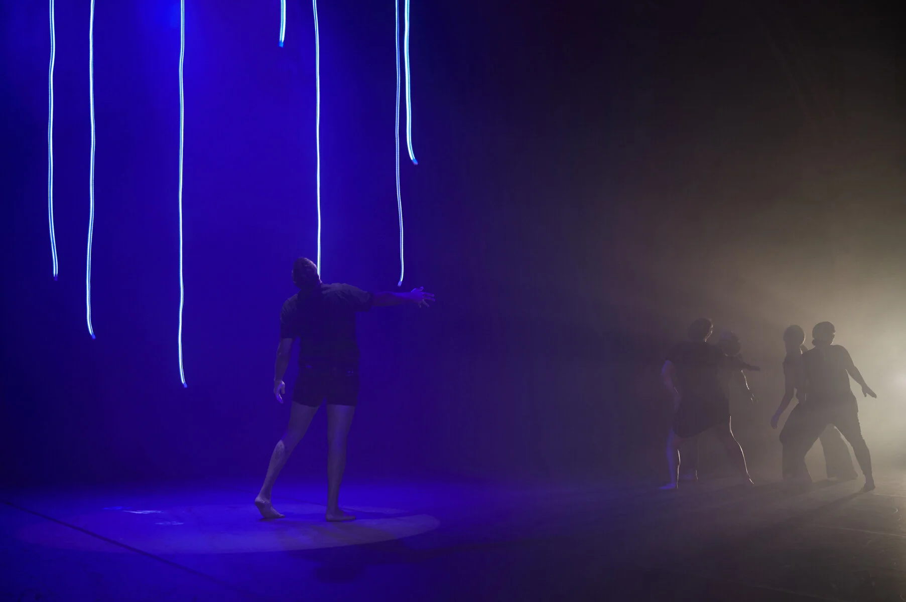 SEASON MELBOURNE, VIC, MARCH 2019 @ DANCE MASSIVE - WORLD PREMIERE . REVIEWS WITNESS PERFORMANCE - JACOB BOHEME SYDNEY MORNING HERALD - KIM DUNPHY . THIS PROJECT WAS CREATED WITH THE SUPPORT FROM; AUSTRALIA COUNCIL FOR THE ARTS ARTS HOUSE DIRTY FEET