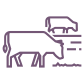 np_cattle_1046366_604363.png