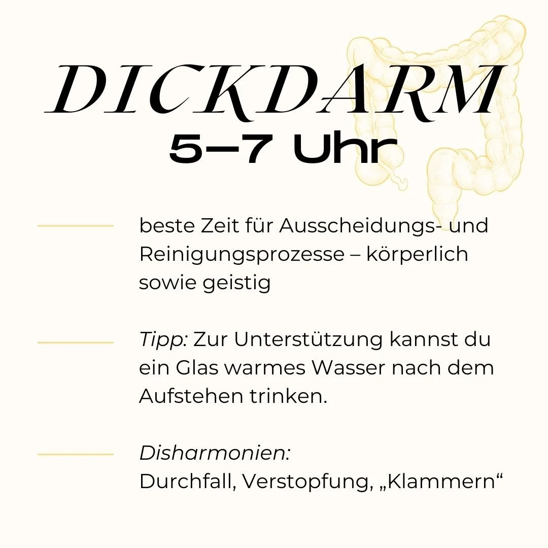 Die besten Auswahlmöglichkeiten - Finden Sie auf dieser Seite die Tcm uhr entsprechend Ihrer Wünsche