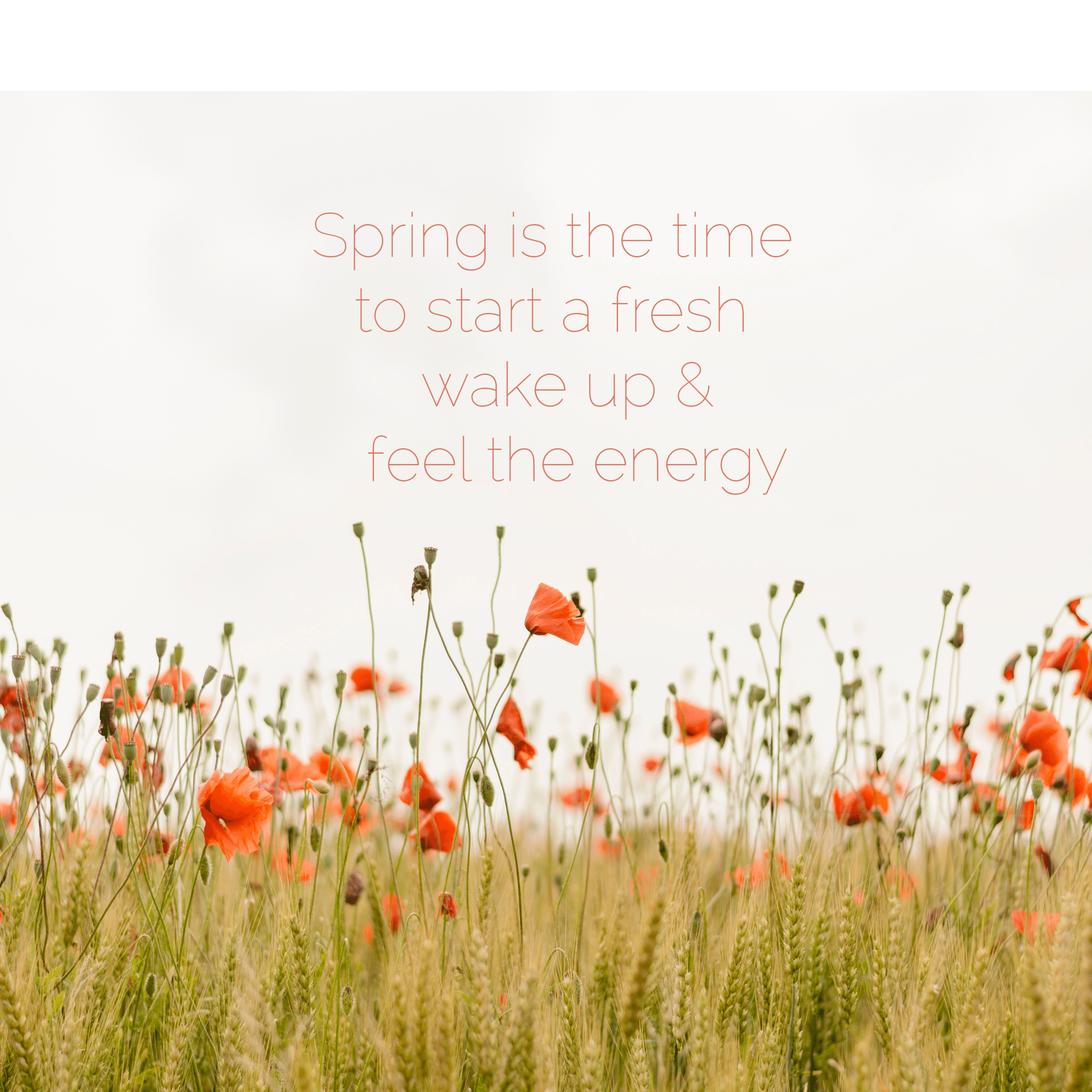 Spring Feeling