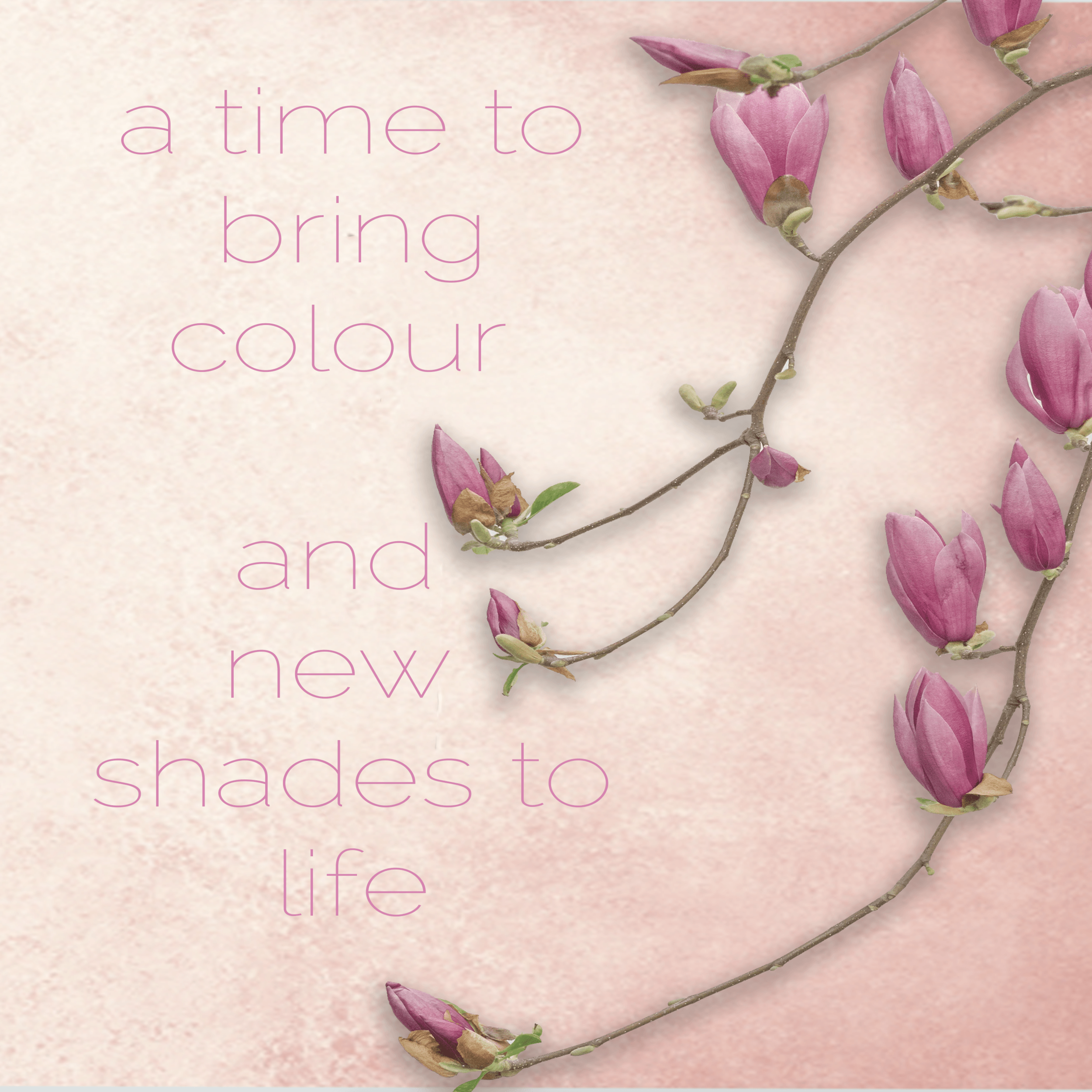 The Fresh Feeling of Spring 2019