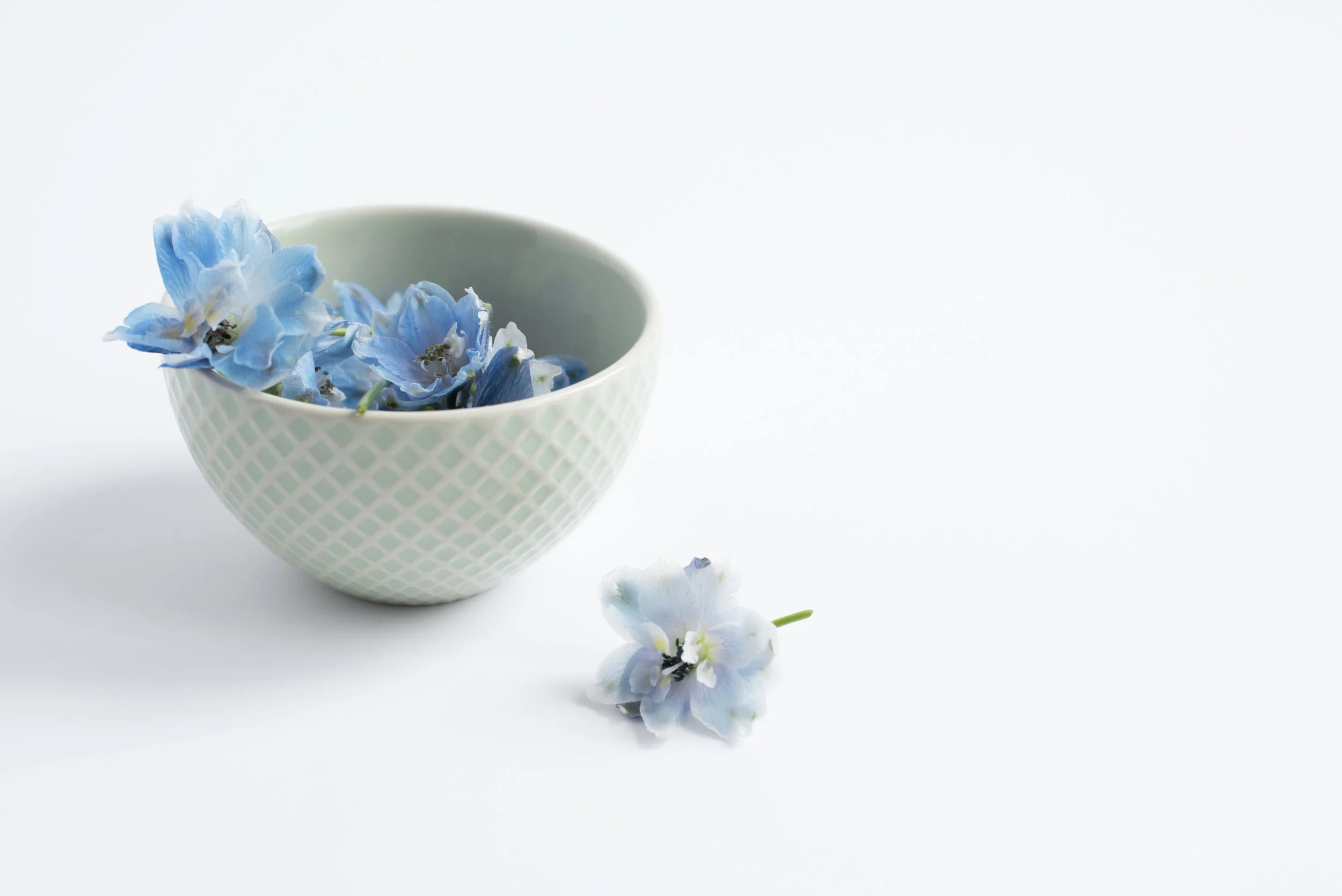 Blue+Ribbon+5.jpg