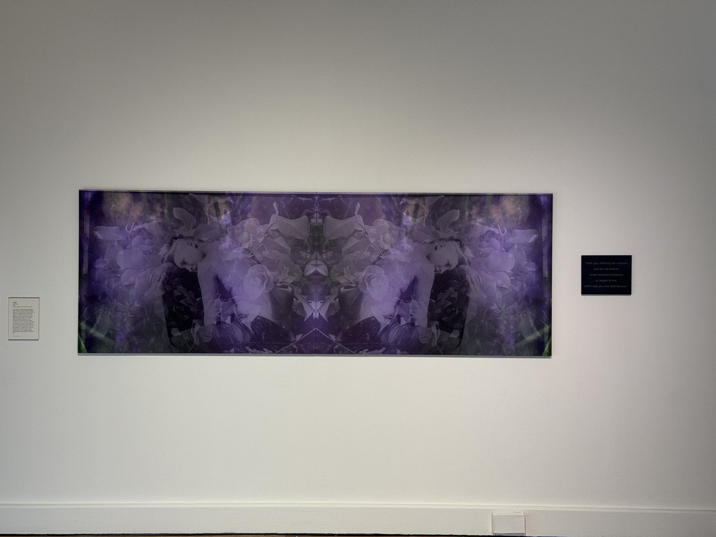 Until You at Leeds Art Gallery in the exhibition Plant Dreaming