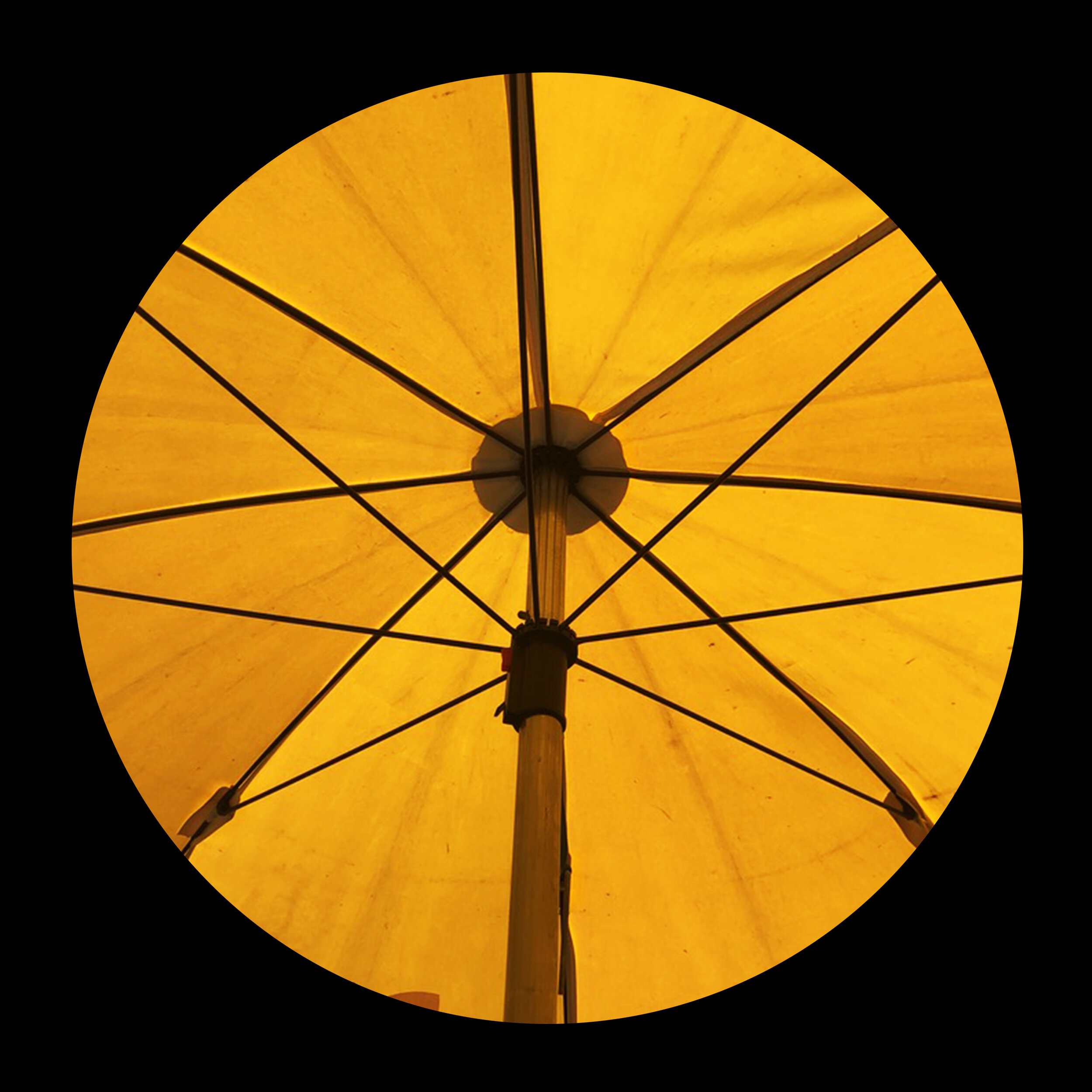 umbrellas_inner_01.jpg